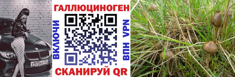 Псилоцибиновые грибы ЛСД  наркошоп  Пудож 