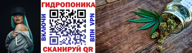 Шишки марихуана VHQ  Пудож 